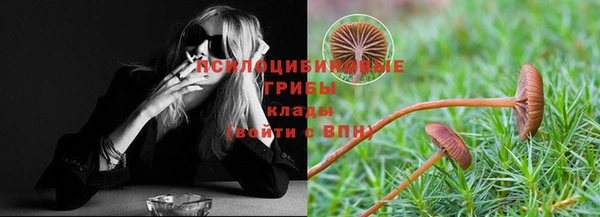 mdma Медвежьегорск