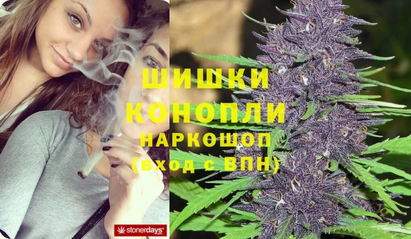 apvp Верея