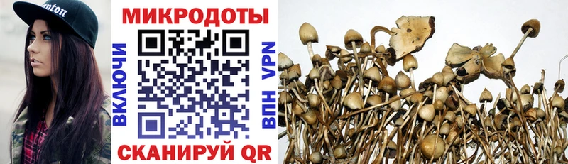 Псилоцибиновые грибы мухоморы  Кемь 